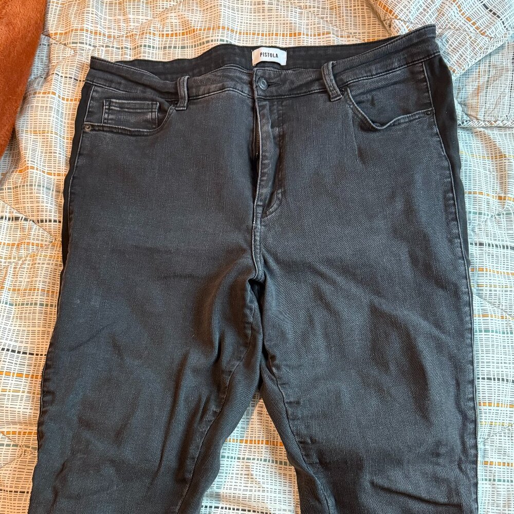 Pistola Arianna High-Rise Skinny Jean with Side Seam -- sz 18 - Picture 8 of 10